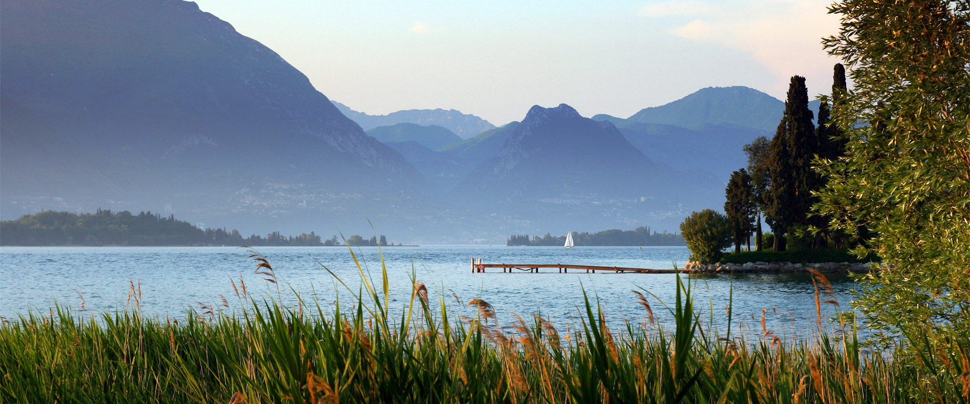 完整版齐全的云呼死你