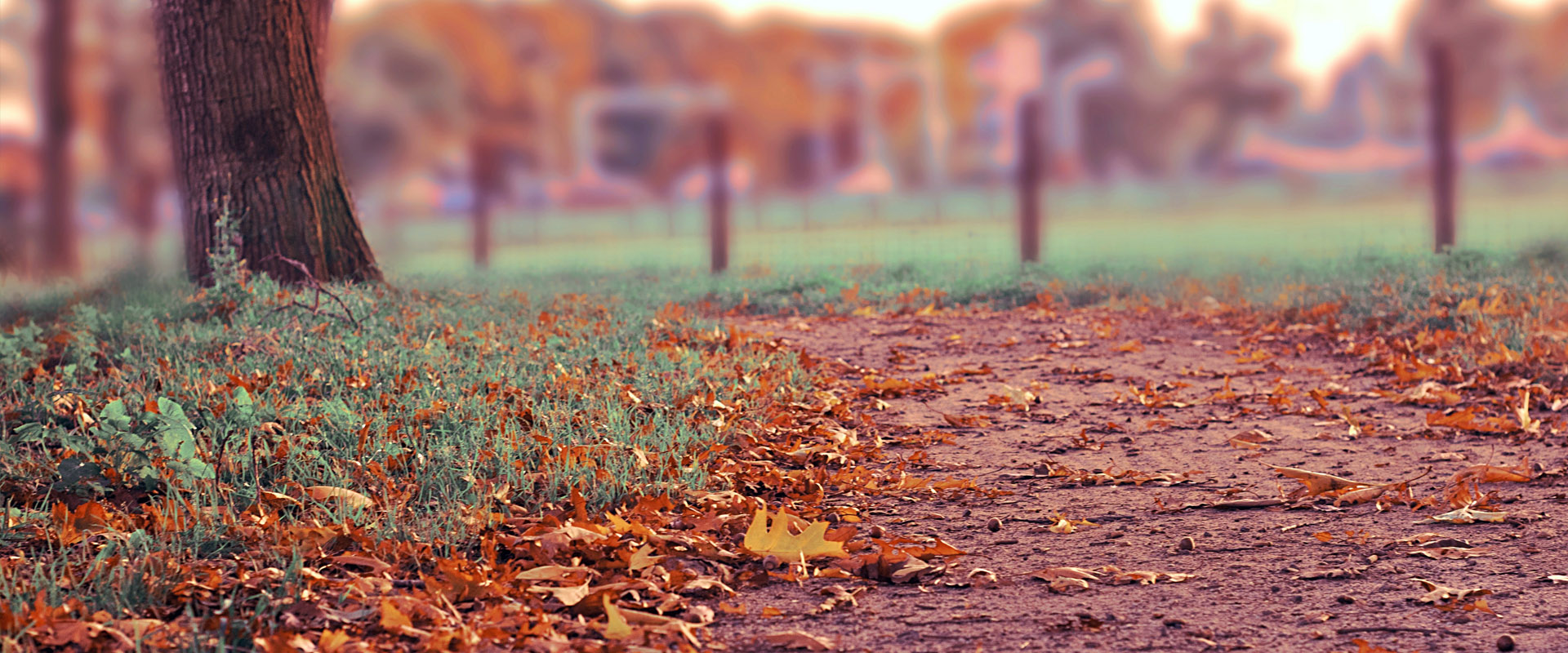 不用登录就能用的无限轰炸手机号码软件